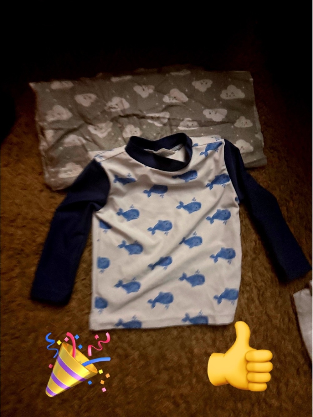 Hudson Baby Toddler Swim and bonus gerber baby thin blanket